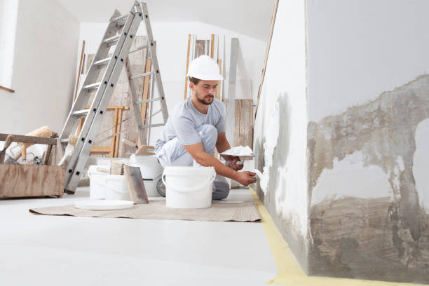 Best Real Estate Mold Inspection  in Clementon, NJ