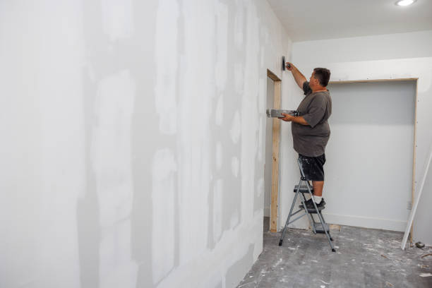 Best Environmental Consulting for Mold Prevention  in Clementon, NJ