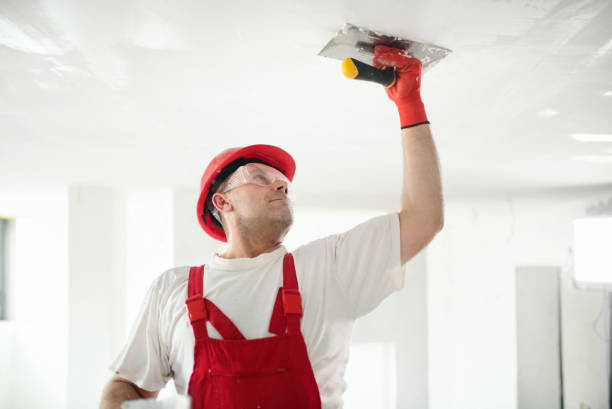 Best Mold Prevention Services  in Clementon, NJ